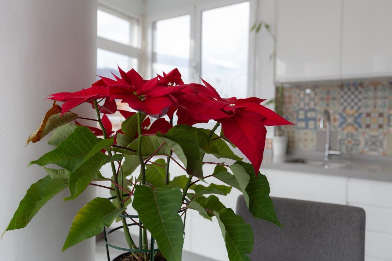 Apt Playa Y Montana Apartment Torremolinos Luaran gambar